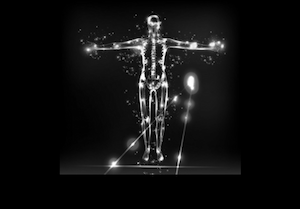 PolestarAntaomy_thumbnail B&W 209H