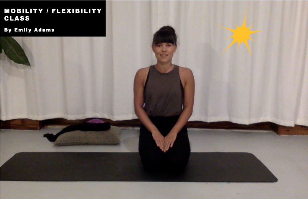 Mobility: flexibility Class with Emily