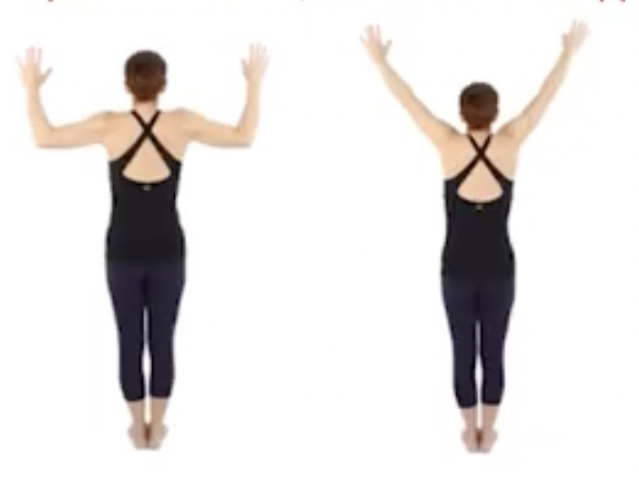 Polestar Pilates Contraindications - Assessment Tools