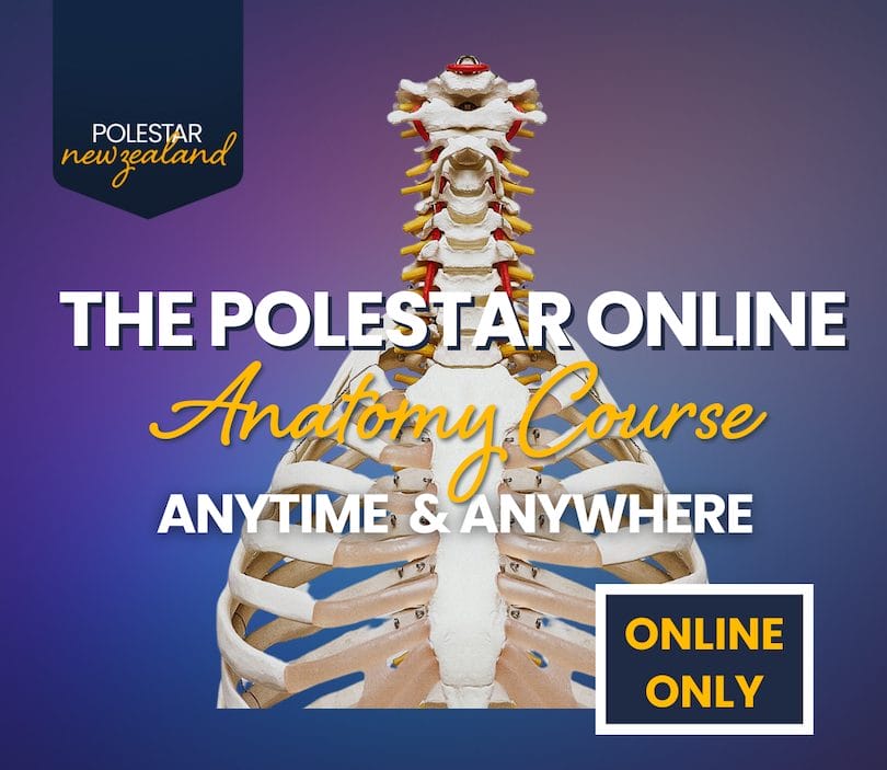 Polestar Pilates Anatomy Teacher Training