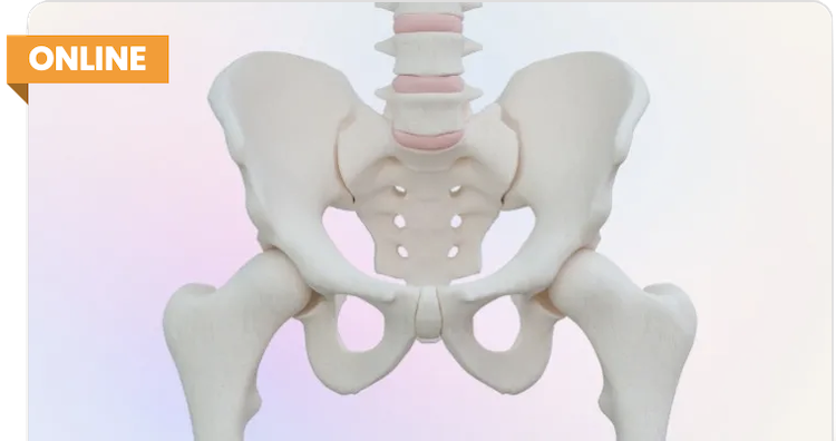 Osteoarthritis of the Hip and Pilates with Beth Kaplanek